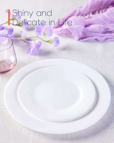 Opal Glass 11 Inch Dinner Plate Set of 6, Microwave & Dishwasher Safe