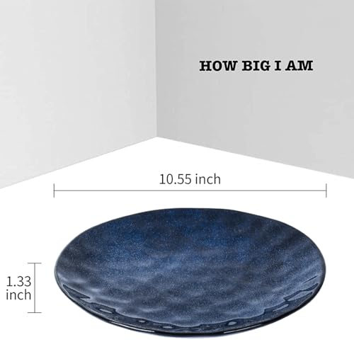 Vicrays 10.5 Inch Porcelain Dinner Plates Set, Blue, Set of 6